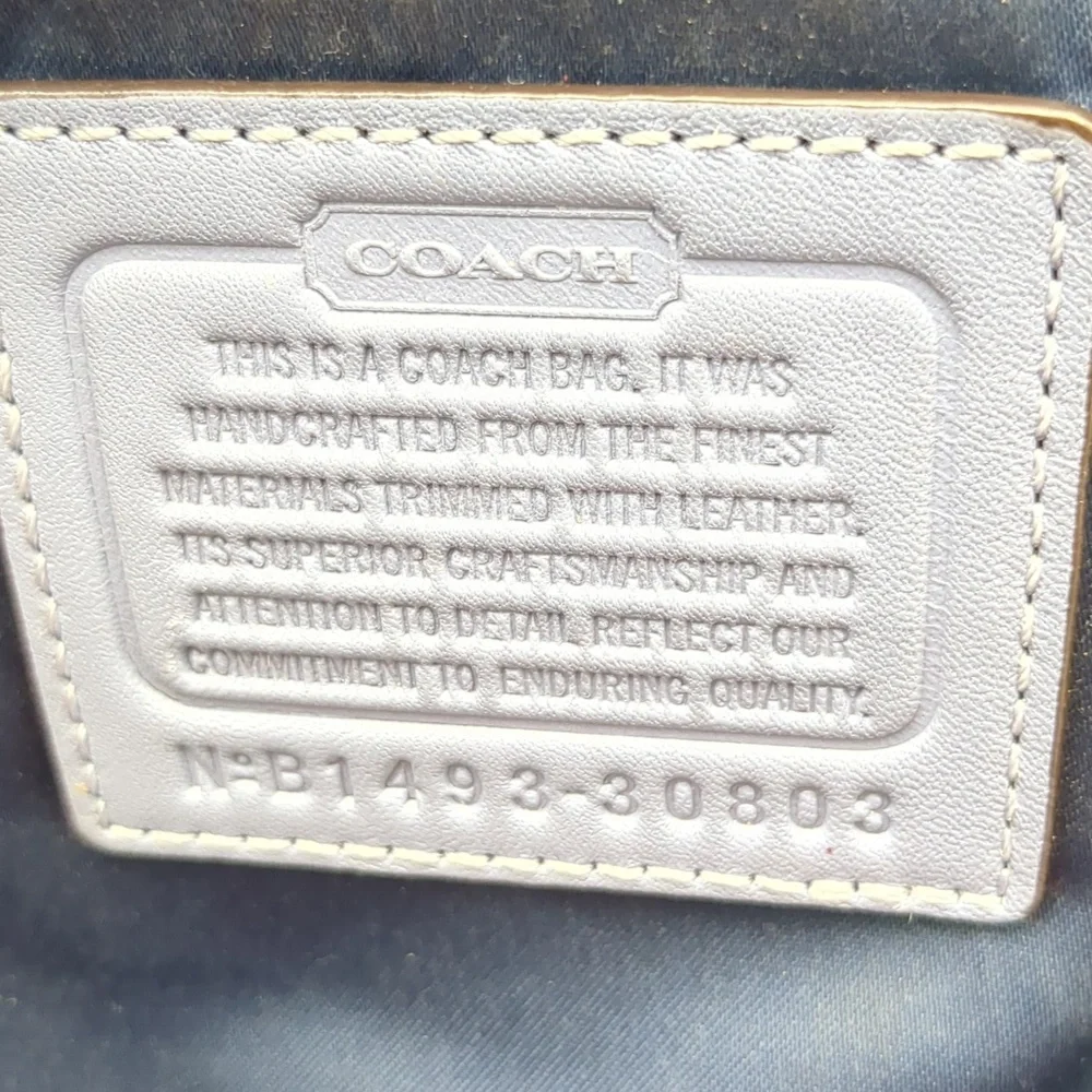 Coach Madison Phoebe Ikat canvas bag